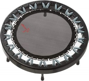 Ultimate Rebounder by Rebound Air Review​